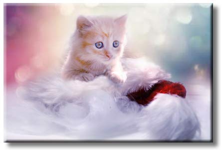 Cute Kitten Picture on Stretched Canvas, Wall Art Décor, Ready to Hang