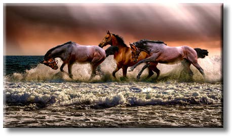 Running Wild Horses on Sea Picture on Stretched Canvas, Wall Art Décor, Ready to Hang