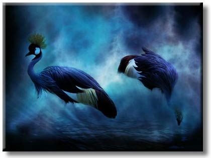 Nature Wild Birds Animal Waterfowl Picture on Stretched Canvas, Wall Art Décor, Ready to Hang