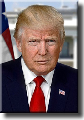 President Donald Trump Portrait Picture on Stretched Canvas Wall Art Décor, Ready to Hang!