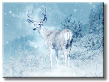 Reindeer Picture on Stretched Canvas, Wall Art Décor, Ready to Hang