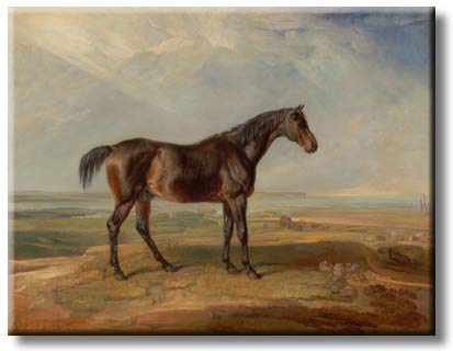 Brown Horse Picture on Stretched Canvas, Wall Art Décor, Ready to Hang