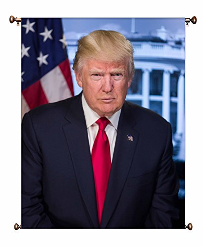 Donald Trump Official Presidential Portrait Picture on Canvas Hung on Copper Rod, Ready to Hang, Wall Art Décor