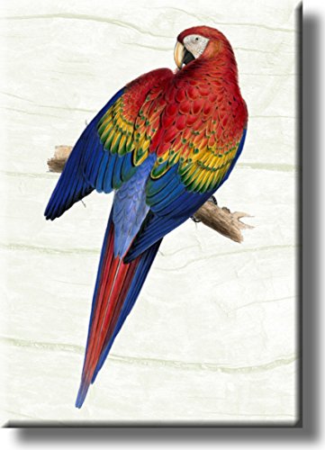 Red Yellow Blue Parrot Picture on Stretched Canvas, Wall Art Décor, Ready to Hang