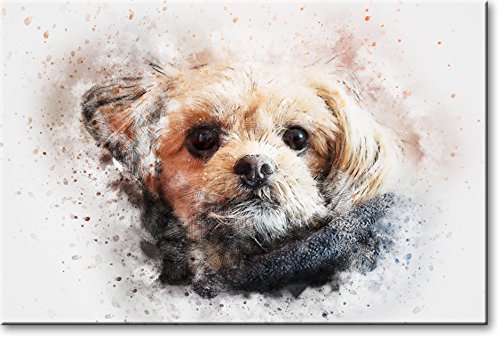 Puppy Head Picture on Stretched Canvas, Wall Art Décor, Ready to Hang