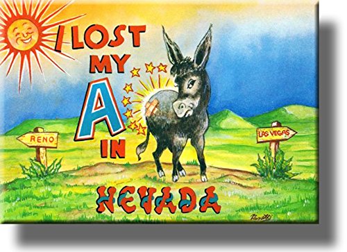 I Lost My A in Nevada, Donkey Comic Picture on Stretched Canvas, Wall Art Décor, Ready to Hang!