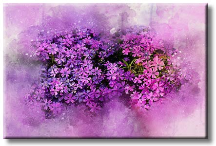 Lavender Flowers Picture on Stretched Canvas, Wall Art Décor, Ready to Hang