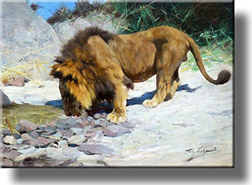 Lion Drinking Water Painting Picture on Stretched Canvas, Wall Art Décor, Ready to Hang!