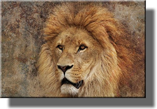 Lion Picture on Stretched Canvas, Wall Art Décor, Ready to Hang!