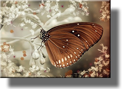 Butterfly Décor Sign Picture on Stretched Canvas, Wall Art, Ready to Hang!