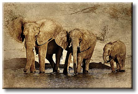 Vintage Elephant and Baby Elephant Drinking Water Walking Picture on Stretched Canvas, Wall Art Décor, Ready to Hang