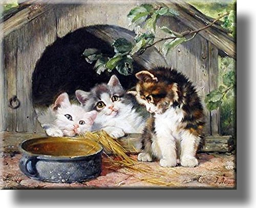 Three Kittens Cute Picture on Stretched Canvas, Wall Art Décor, Ready to Hang!