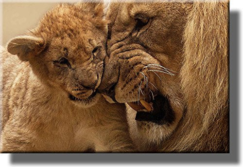 Head to Head Lion and Cub Picture on Stretched Canvas, Wall Art Décor, Ready to Hang!