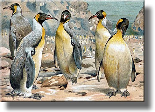 King Penguins Painting Picture on Stretched Canvas, Wall Art Décor, Ready to Hang!