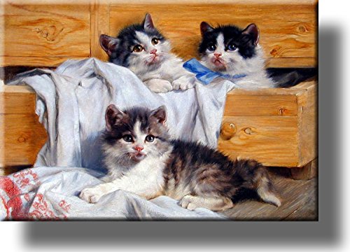 Playful Kittens Picture on Stretched Canvas, Wall Art Décor, Ready to Hang!