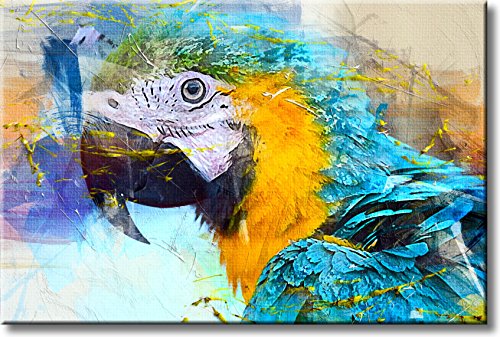 Tropical Blue Yellow Parrot Picture on Stretched Canvas, Wall Art Décor, Ready to Hang