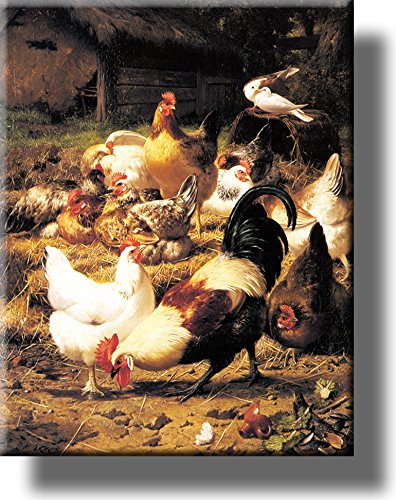 Chicken on a Farmyard Picture on Stretched Canvas, Wall Art Décor, Ready to Hang!