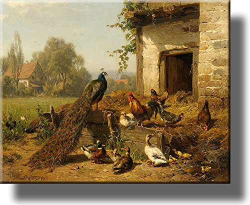 Chicken Coop, Farm Birds Wall Picture on Stretched Canvas, Wall Art Décor, Ready to Hang!