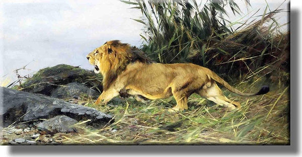 Lion Roaring Picture on Stretched Canvas, Wall Art Décor, Ready to Hang!