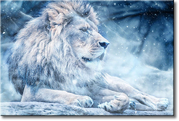 Lion in Winter Picture on Stretched Canvas, Wall Art Décor, Ready to Hang