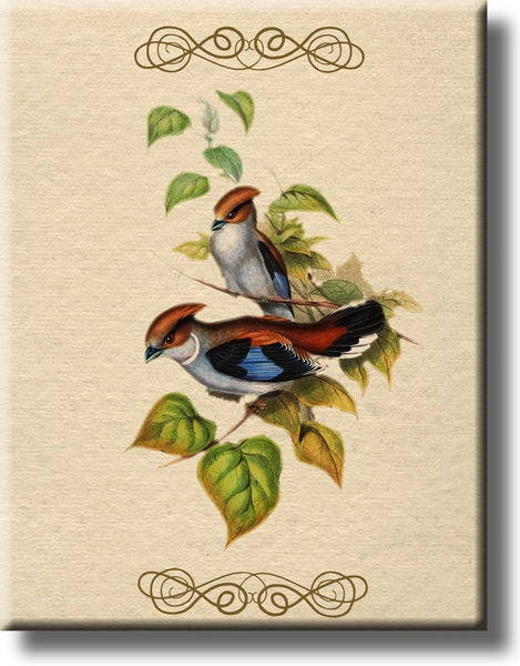 Two Birds on a Branch Vintage Picture on Stretched Canvas, Wall Art Décor, Ready to Hang