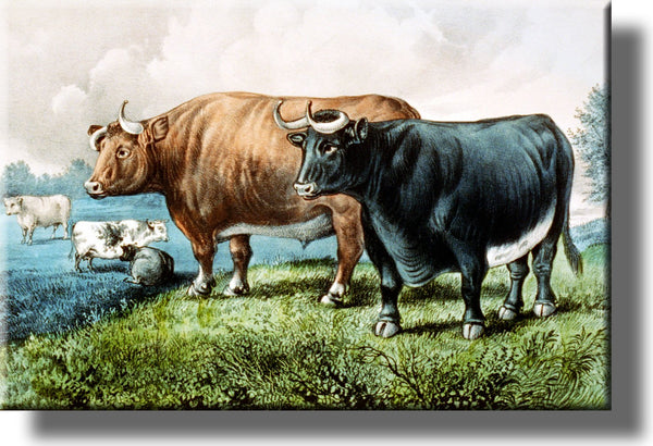 Cows Cattle on Farm Picture on Stretched Canvas, Wall Art Décor, Ready to Hang!