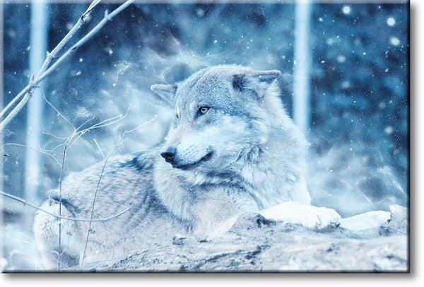 Wolf in Forest Winter Picture on Stretched Canvas, Wall Art Décor, Ready to Hang