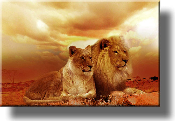 Lion and Lioness Picture on Stretched Canvas Wall Art Decor, Ready to Hang!