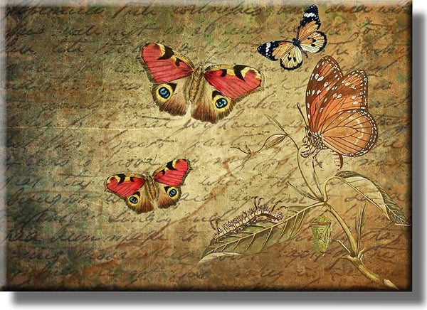 Butterflies Vintage Picture on Stretched Canvas, Wall Art decor, Ready to Hang!