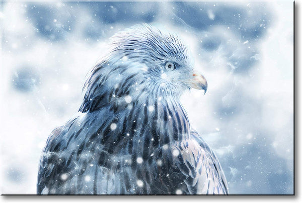 Hawk in Snow Picture on Stretched Canvas, Wall Art Décor, Ready to Hang