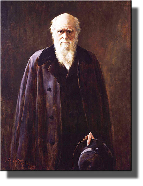 Charles Darwin Portrait Picture on Stretched Canvas, Wall Art Decor Ready to Hang!.