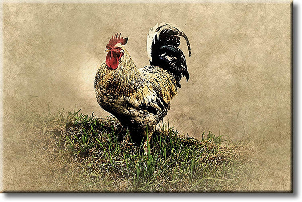 Rooster on Grass Kitchen Picture on Stretched Canvas, Wall Art Décor, Ready to Hang