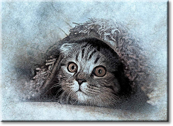 Cat Under the Rug Picture on Stretched Canvas, Wall Art Décor, Ready to Hang