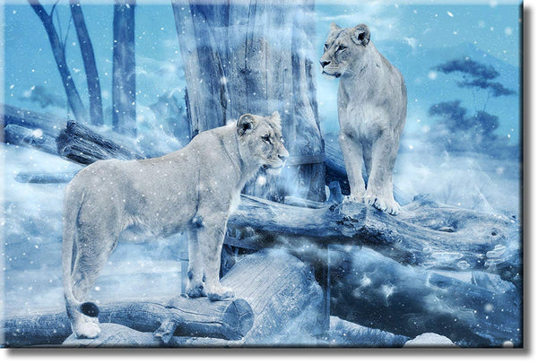 Lionesses in Winter Picture on Stretched Canvas, Wall Art Décor, Ready to Hang